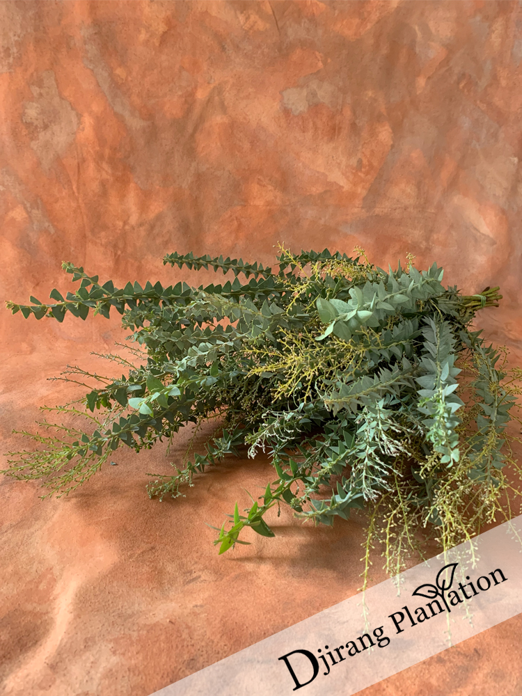 knifewattle1